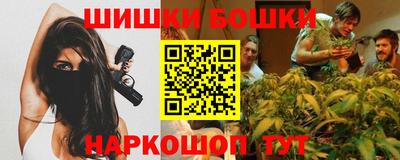 крисы Беслан