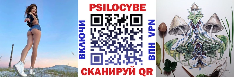 Псилоцибиновые грибы Psilocybine cubensis  OMG   Азов 
