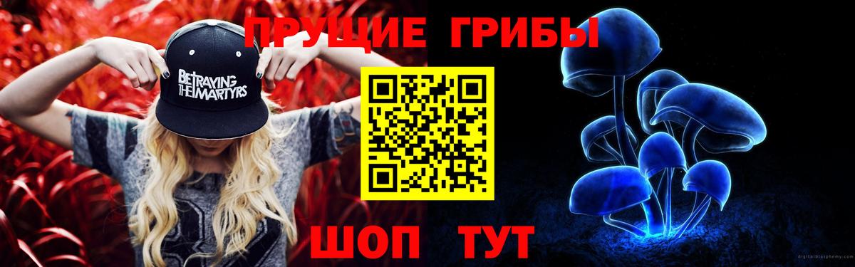 закладка  Азов  Псилоцибиновые грибы мухоморы 