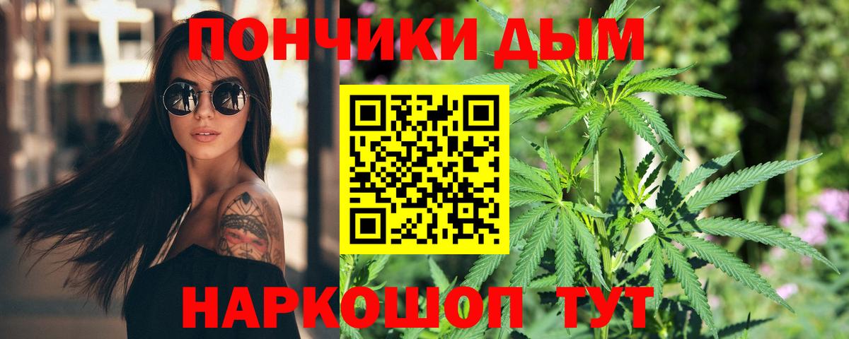 Бошки Шишки Азов